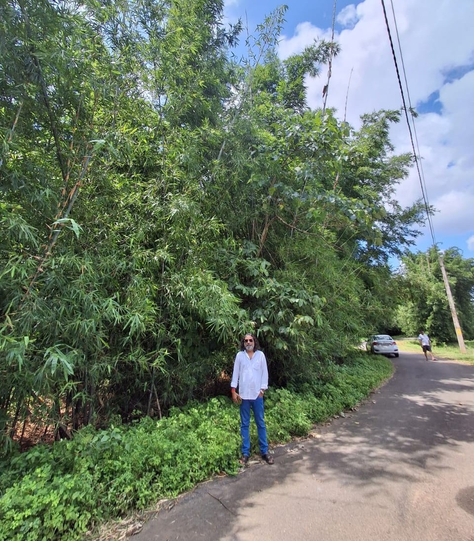 Sustainable Projects